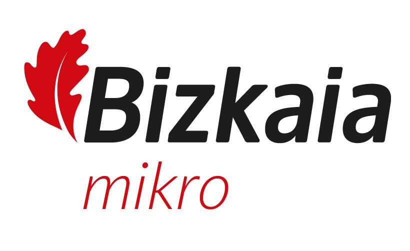 Bizkaia Mikro